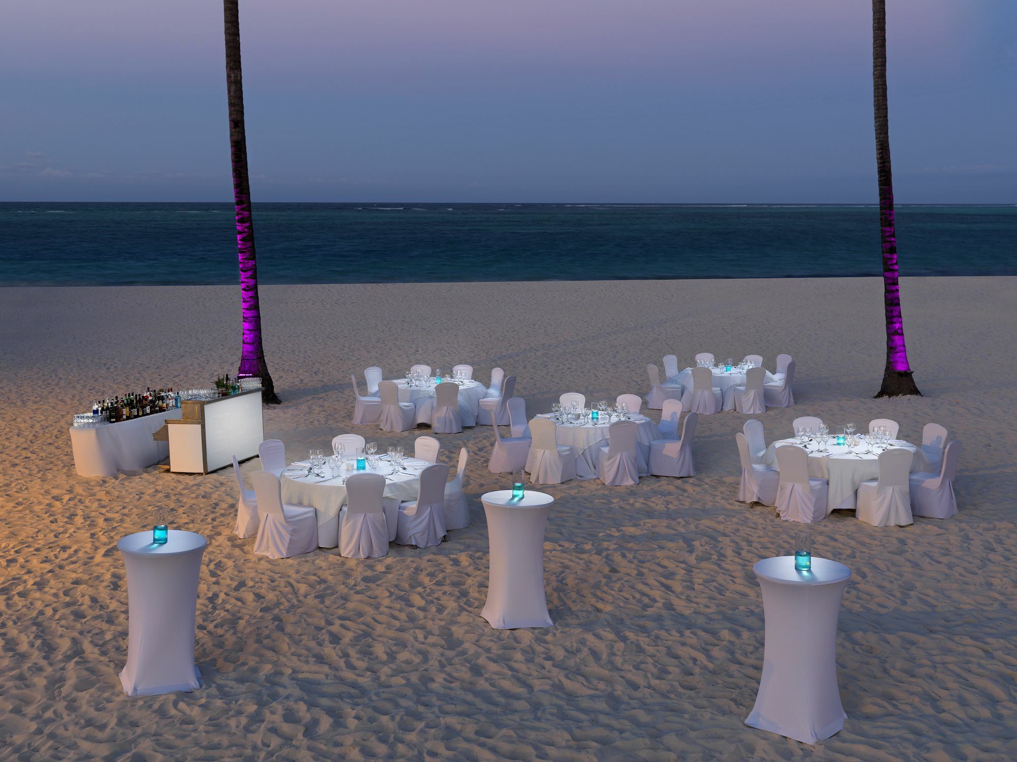 Royal Service At Paradisus Palma Real (Adults Only) Πούντα Κάνα Εξωτερικό φωτογραφία
